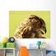 Owl Owl Wall Mural