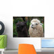 Black and White Alpaca Wall Mural