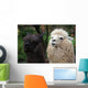 Black and White Alpaca Wall Mural