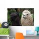 Black and White Alpaca Wall Mural