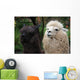Black and White Alpaca Wall Mural