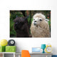 Black and White Alpaca Wall Mural