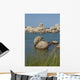 Rock Islands