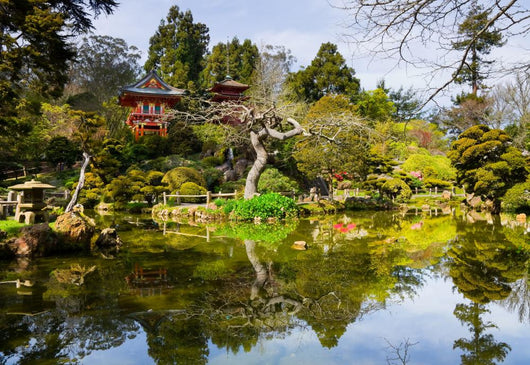 Japanese Tea Garden San Wall Mural