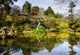 Japanese Tea Garden San Wall Mural