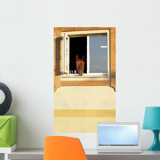 Horse Window