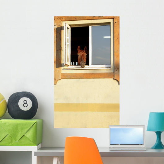 Horse Window