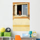 Horse Window