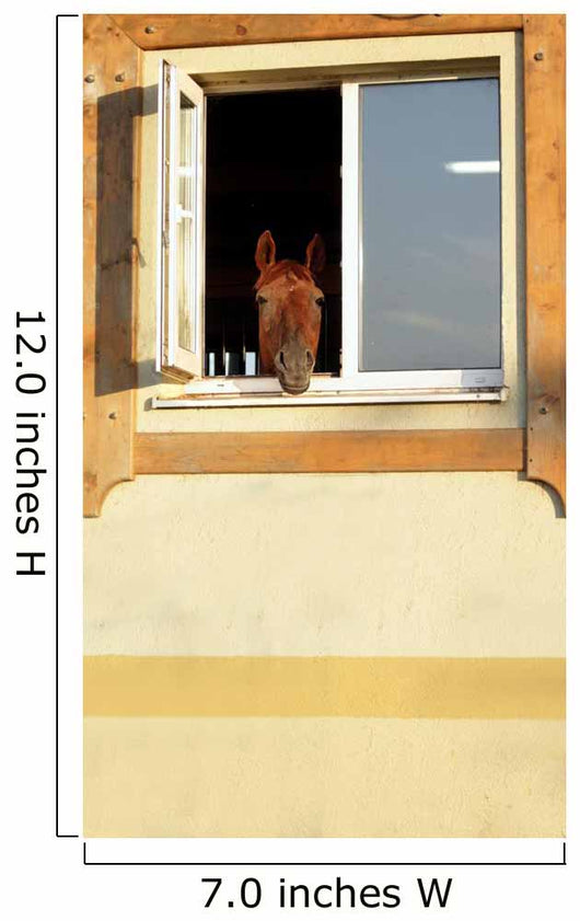 Horse Window
