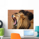 African Lion Wall Mural