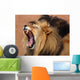African Lion Wall Mural