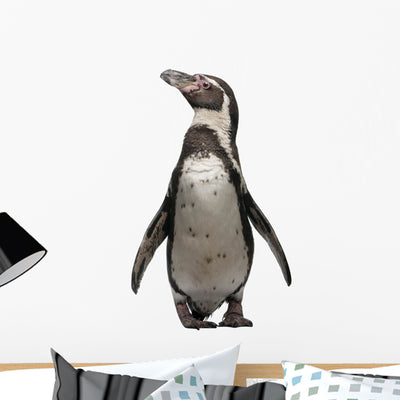 Front Humboldt Penguin Standing Wall Decal shown on a wall