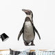 Front Humboldt Penguin Standing Wall Decal