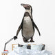Front Humboldt Penguin Standing Wall Decal