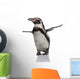 Humboldt Penguin, standing in front of white background Wall Decal