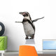 Humboldt Penguin, standing in front of white background Wall Decal