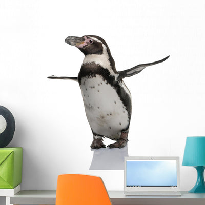 Humboldt Penguin Wall Decal shown on a wall