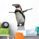 Humboldt Penguin, standing in front of white background Wall Decal