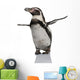 Humboldt Penguin, standing in front of white background Wall Decal
