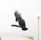 Front view of Palm Cockatoo, perched on a branch Wall Decal