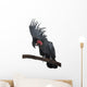Front view of Palm Cockatoo, perched on a branch Wall Decal