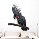 Front view of Palm Cockatoo, perched on a branch Wall Decal