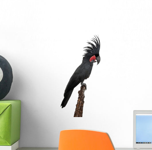Side Palm Cockatoo Perched Wall Decal