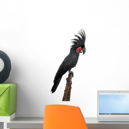 Side Palm Cockatoo Perched Wall Decal