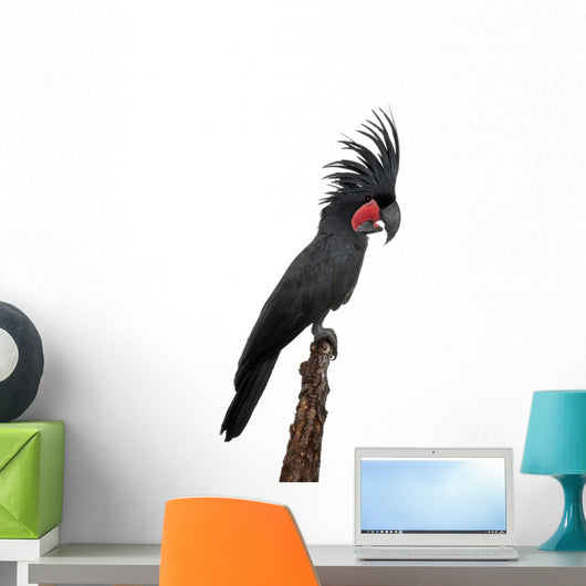Side Palm Cockatoo Perched Wall Decal