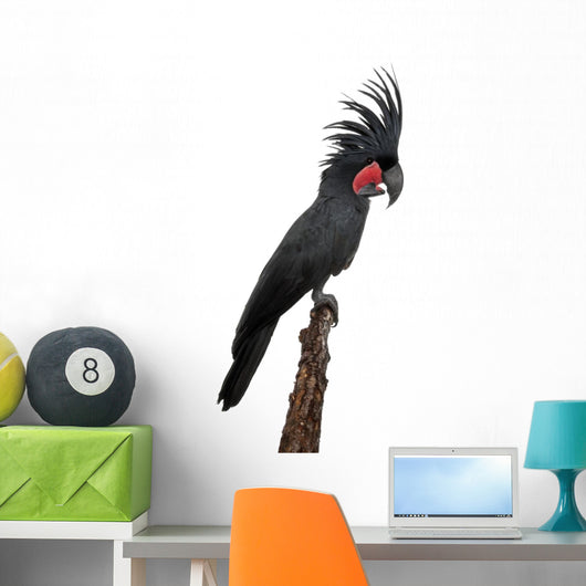 Side Palm Cockatoo Perched Wall Decal