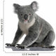 Side Young Koala 14