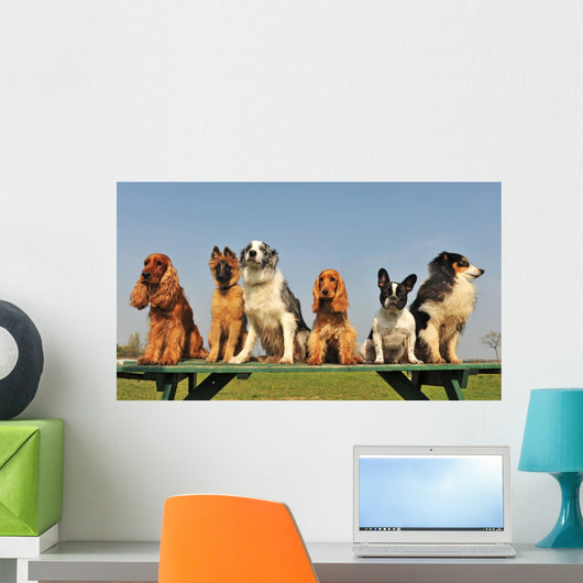 petits chiens sages Wall Mural