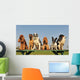 petits chiens sages Wall Mural