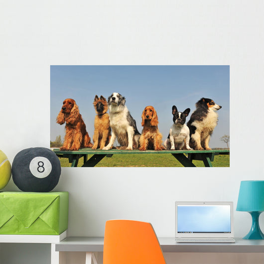 petits chiens sages Wall Mural
