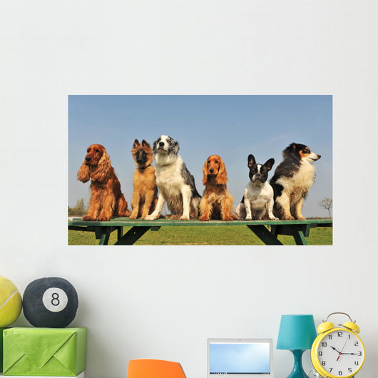 petits chiens sages Wall Mural