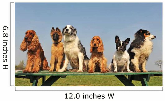 petits chiens sages Wall Mural