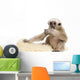 Side Young Pileated Gibbon Wall Decal