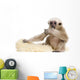 Side Young Pileated Gibbon Wall Decal