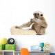 Side Young Pileated Gibbon Wall Decal