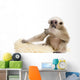 Side Young Pileated Gibbon Wall Decal