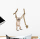 Young Pileated Gibbon Wall Decal