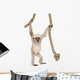 Young Pileated Gibbon Wall Decal