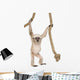 Young Pileated Gibbon Wall Decal