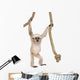 Young Pileated Gibbon Wall Decal