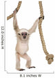 Young Pileated Gibbon Wall Decal
