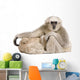 Young Pileated Gibbon 1 Wall Decal