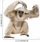 Young Pileated Gibbon Wall Decal
