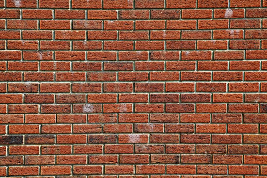 Brick Wall Wall Mural