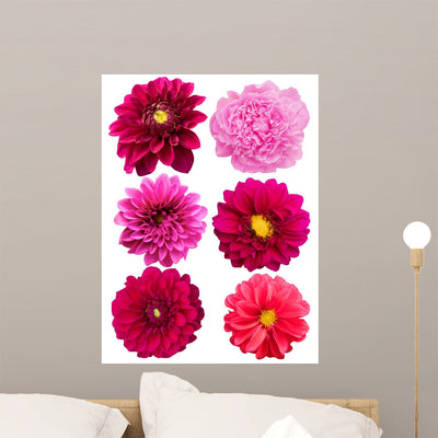 Flowers Peonies Dahlias shown on a wall