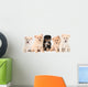Pomeranian Puppies Lined up on White Background Wall Decal